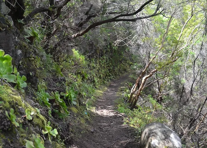 Apartament Casa Alexandra *