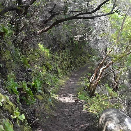 Lägenhet Casa Alexandra *